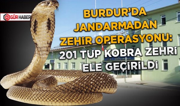 BURDUR’DA JANDARMADAN ZEHİR OPERASYONU: 201 TÜP KOBRA ZEHRİ ELE GEÇİRİLDİ