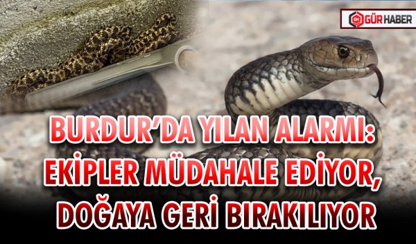 BURDUR’DA YILAN ALARMI: EKİPLER MÜDAHALE EDİYOR, DOĞAYA GERİ BIRAKILIYOR