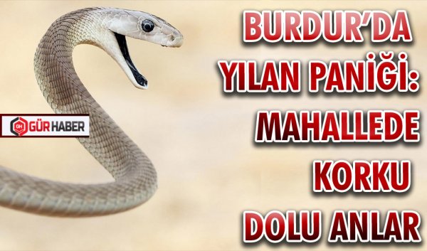 BURDUR’DA YILAN PANİĞİ : MAHALLEDE KORKU DOLU ANLAR