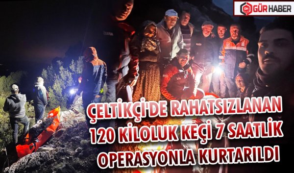 ÇELTİKÇİ'DE RAHATSIZLANAN 120 KİLOLUK KEÇİ 7 SAATLİK OPERASYONLA KURTARILDI