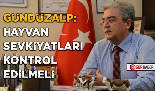 GÜNDÜZALP: HAYVAN SEVKİYATLARI KONTROL EDİLMELİ