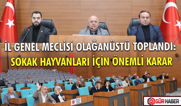 İL GENEL MECLİSİ OLAĞANÜSTÜ TOPLANDI: SOKAK HAYVANLARI İÇİN ÖNEMLİ KARAR