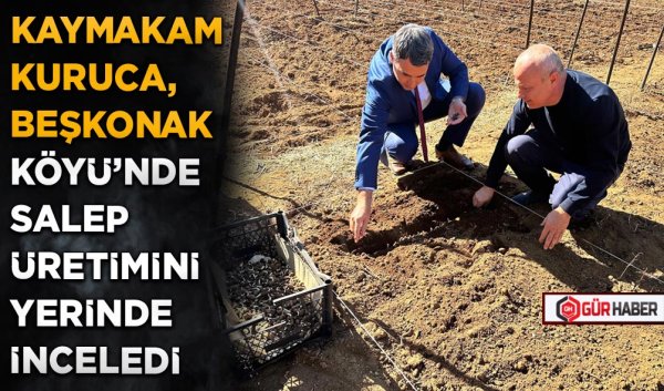 KAYMAKAM KURUCA, BEŞKONAK KÖYÜ'NDE SALEP ÜRETİMİNİ YERİNDE İNCELEDİ