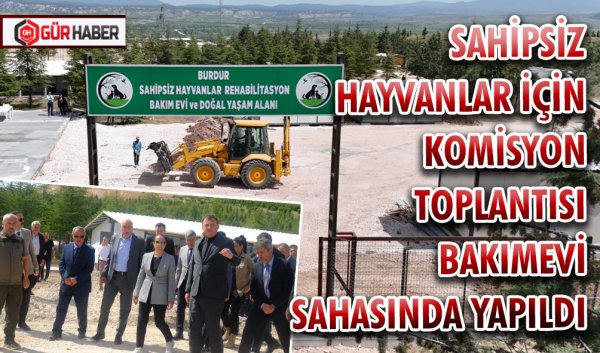 SAHİPSİZ HAYVANLAR İÇİN KOMİSYON TOPLANTISI BAKIMEVİ SAHASINDA YAPILDI