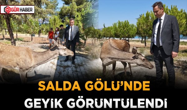 SALDA GÖLÜ’NDE GEYİK GÖRÜNTÜLENDİ