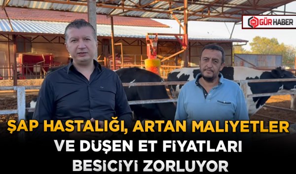 ŞAP HASTALIĞI, ARTAN MALİYETLER VE DÜŞEN ET FİYATLARI BESİCİYİ ZORLUYOR
