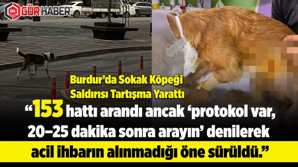 Şehir Merkezinde Köpek Saldırısı: 