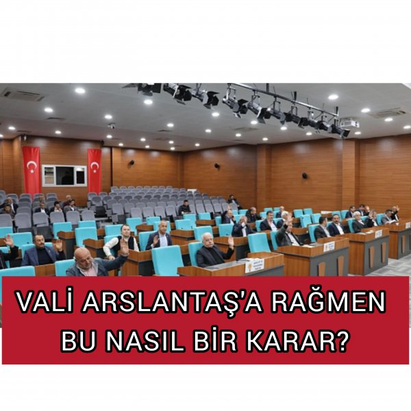 VALİYE RAĞMEN YURT DIŞI GEZİ KARARI