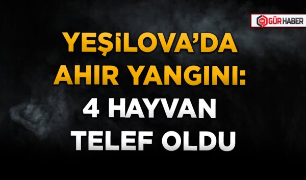YEŞİLOVA’DA AHIR YANGINI: 4 HAYVAN TELEF OLDU