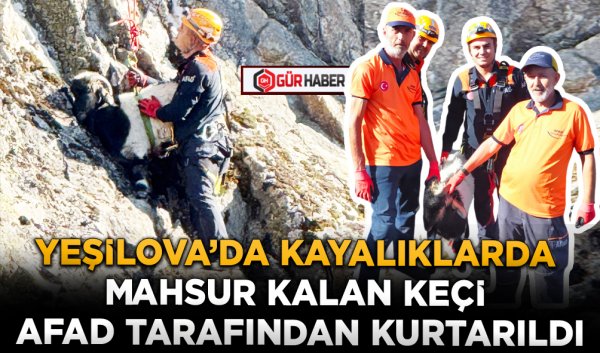 YEŞİLOVA’DA KAYALIKLARDA MAHSUR KALAN KEÇİ AFAD TARAFINDAN KURTARILDI