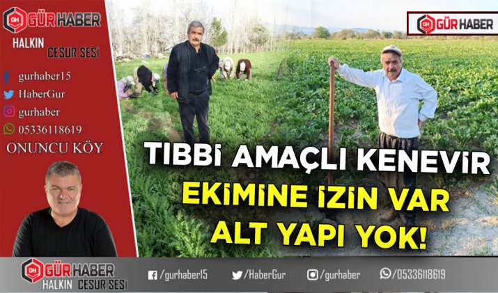TIBBİ AMAÇLI KENEVİR  EKİMİNE İZİN VAR ALT YAPI YOK!