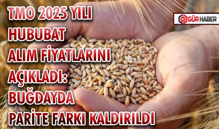 TMO 2025 YILI HUBUBAT ALIM FİYATLARINI AÇIKLADI: BUĞDAYDA PARİTE FARKI KALDIRILDI