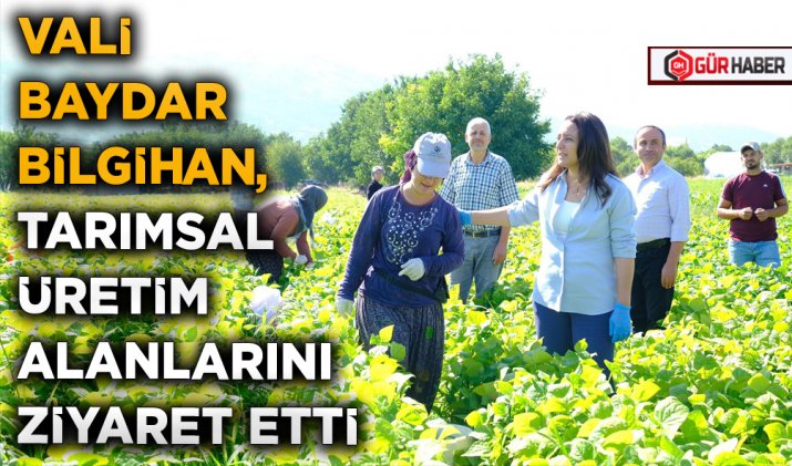 VALİ BAYDAR BİLGİHAN, TARIMSAL ÜRETİM ALANLARINI ZİYARET ETTİ