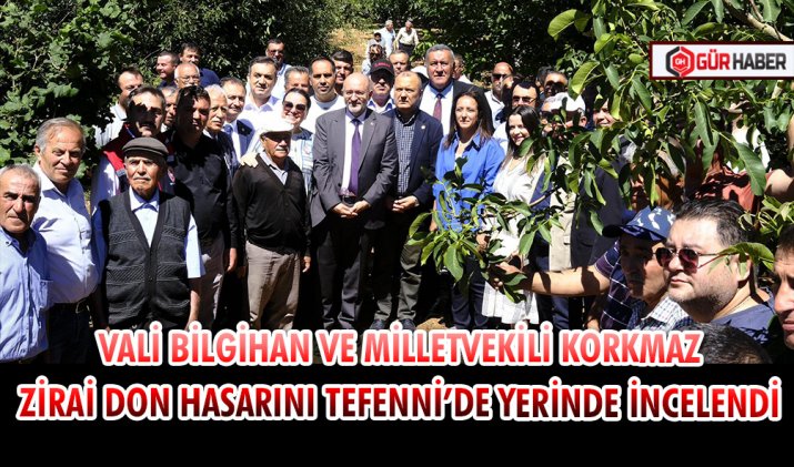 VALİ BİLGİHAN VE MİLLETVEKİLİ KORKMAZ ZİRAİ DON HASARINI TEFENNİ’DE YERİNDE İNCELENDİ