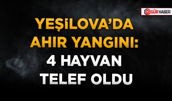 YEŞİLOVA’DA AHIR YANGINI: 4 HAYVAN TELEF OLDU