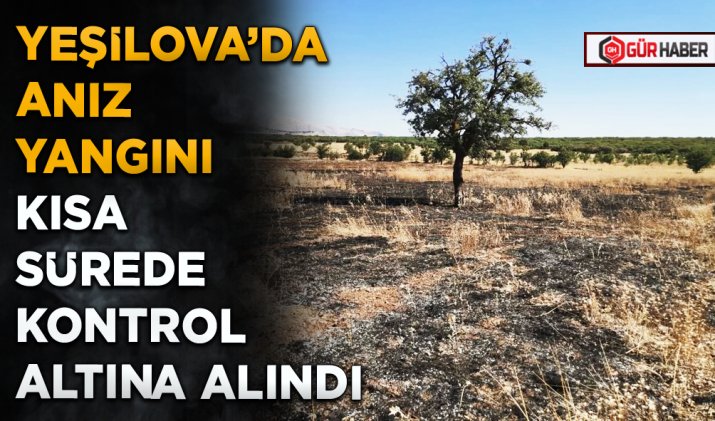 YEŞİLOVA’DA ANIZ YANGINI KISA SÜREDE KONTROL ALTINA ALINDI