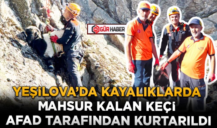 YEŞİLOVA’DA KAYALIKLARDA MAHSUR KALAN KEÇİ AFAD TARAFINDAN KURTARILDI