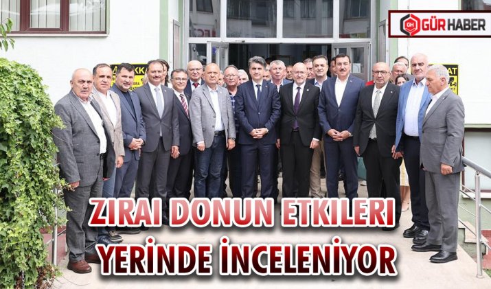 ZİRAİ DONUN ETKİLERİ YERİNDE İNCELENİYOR